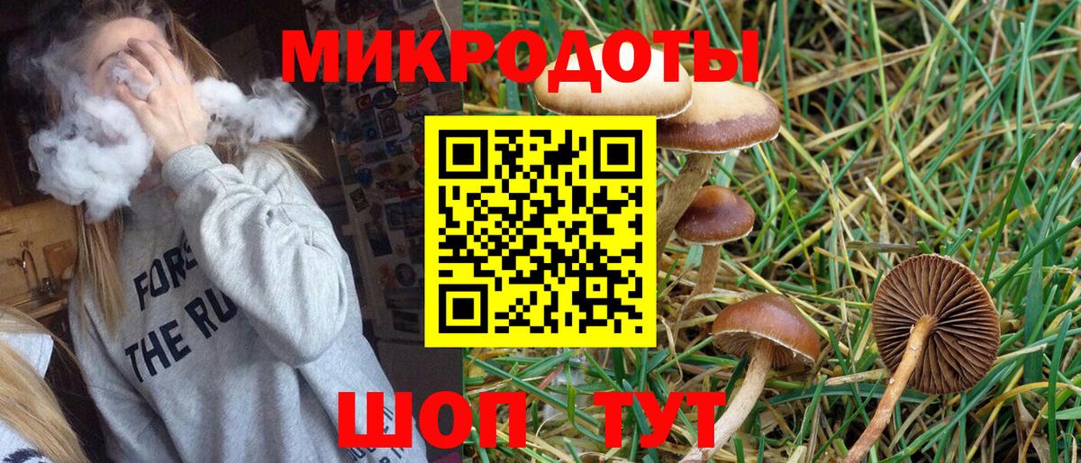 Стерлитамак  купить наркоту  Вход с VPN  Галлюциногенные грибы MAGIC MUSHROOMS  Галлюциногенные грибы Cubensis 
